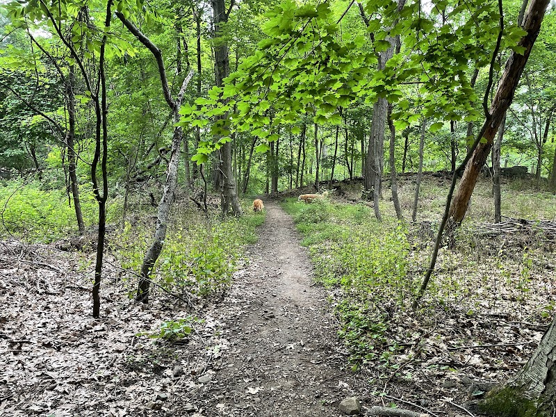 Hillside Park photo 4