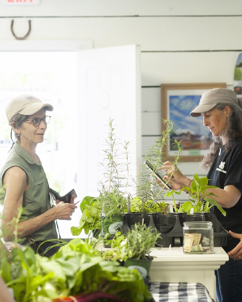 Hilltop Hanover Farm Stand photo 3