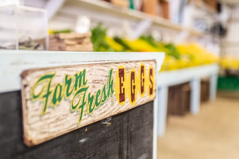 Hilltop Hanover Farm Stand photo 5
