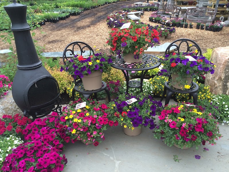 Hilltop Nursery & Garden Center photo 2