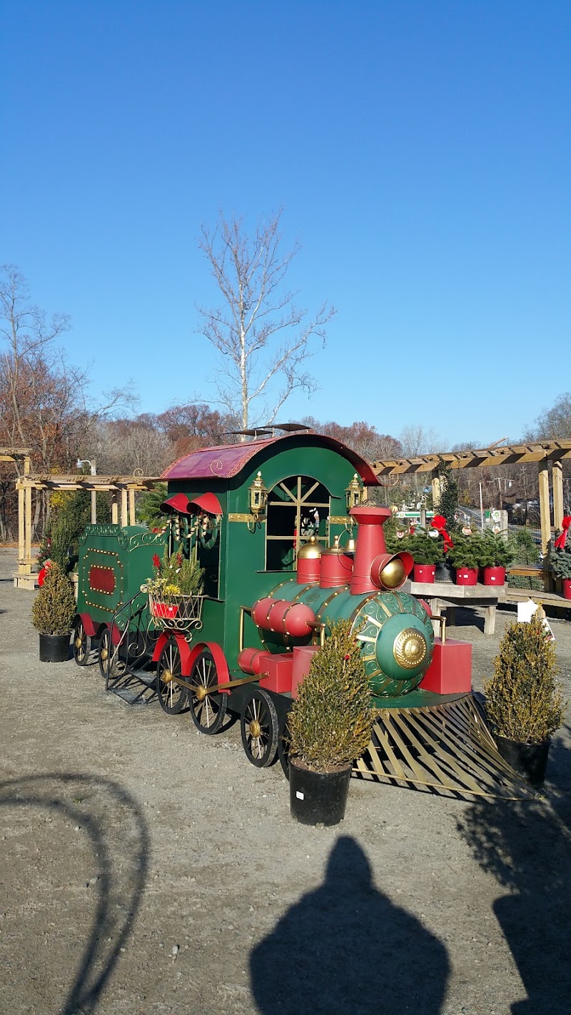 Hilltop Nursery & Garden Center photo 3