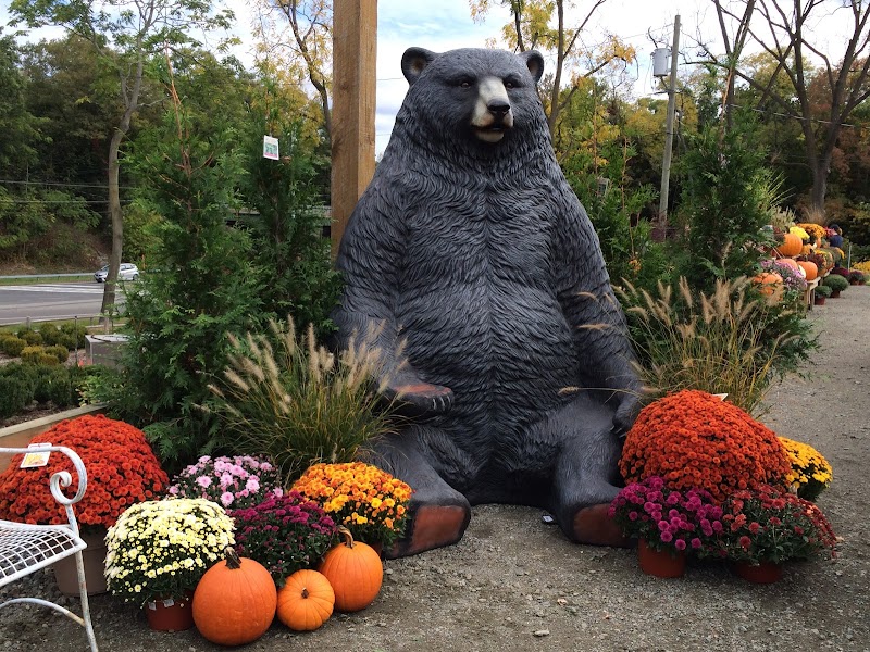 Hilltop Nursery & Garden Center photo 5
