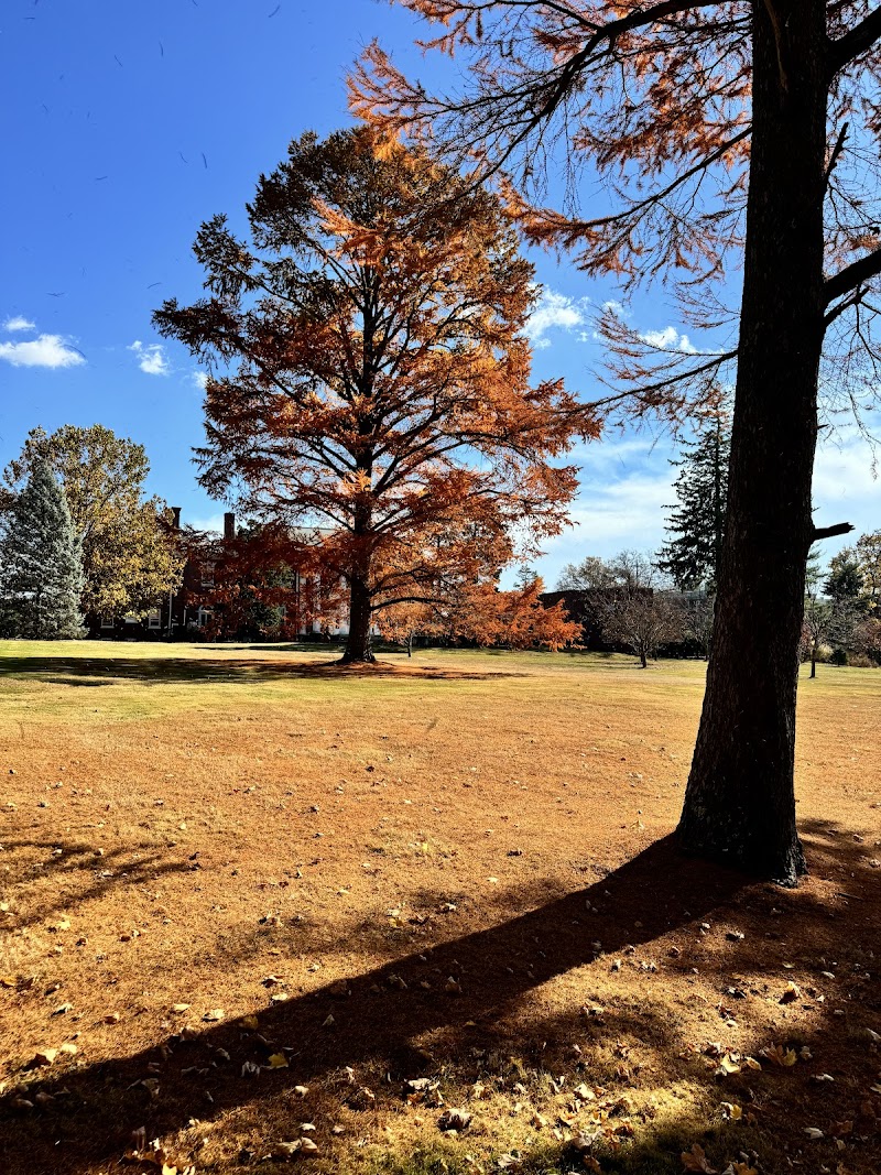 Wilson Park photo 4