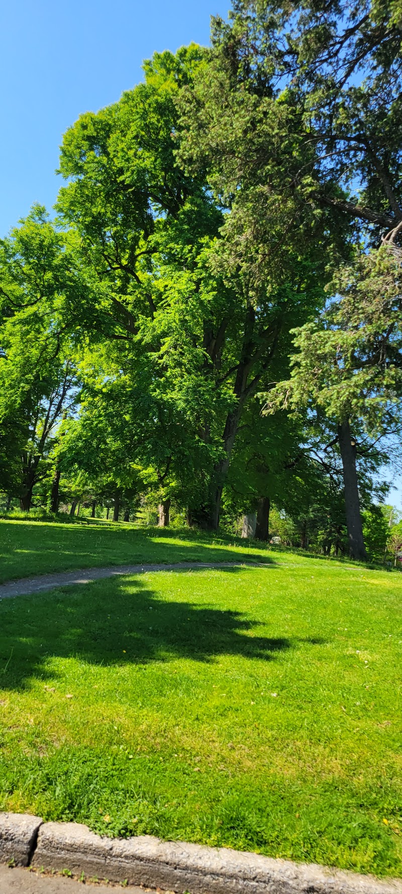 Wilson Park photo 5