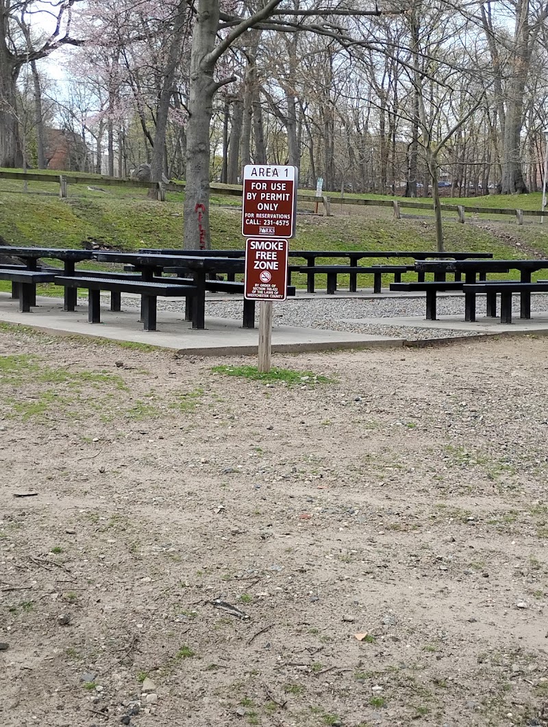 Wilson's Playground photo 4