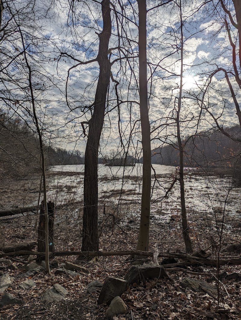 Silver Lake Preserve photo 3