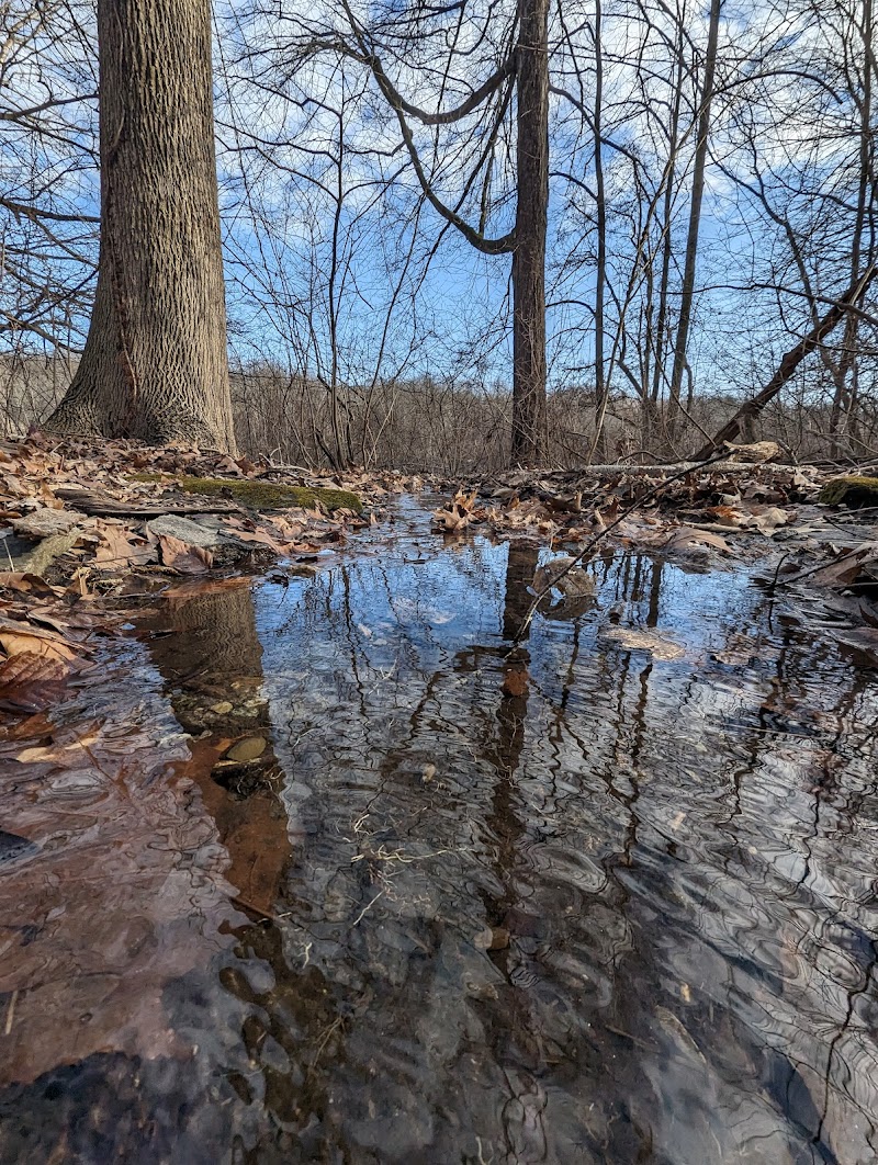 Silver Lake Preserve photo 4