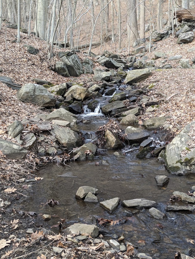 Silver Lake Preserve photo 5