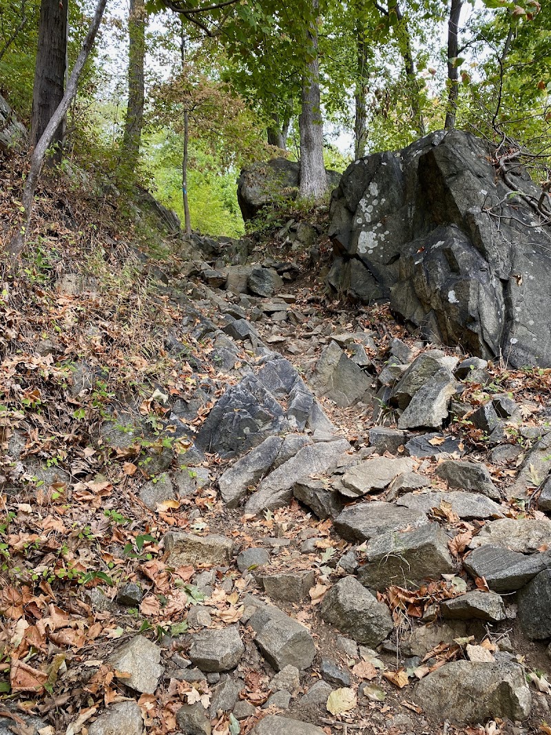 Timp Torne & Jones Point Path Trailhead photo 5
