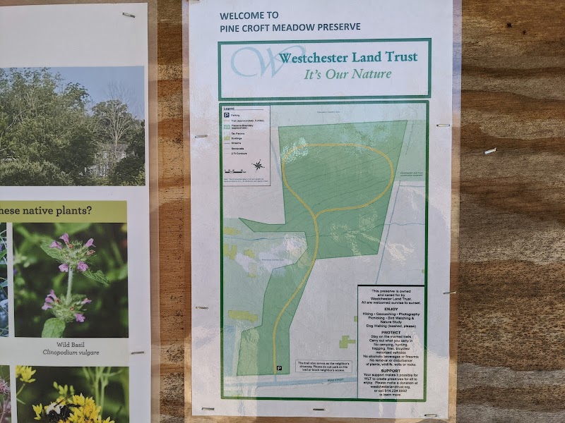 Pine Croft Meadow Preserve photo 2