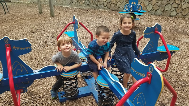 Pine Brook Park photo 4