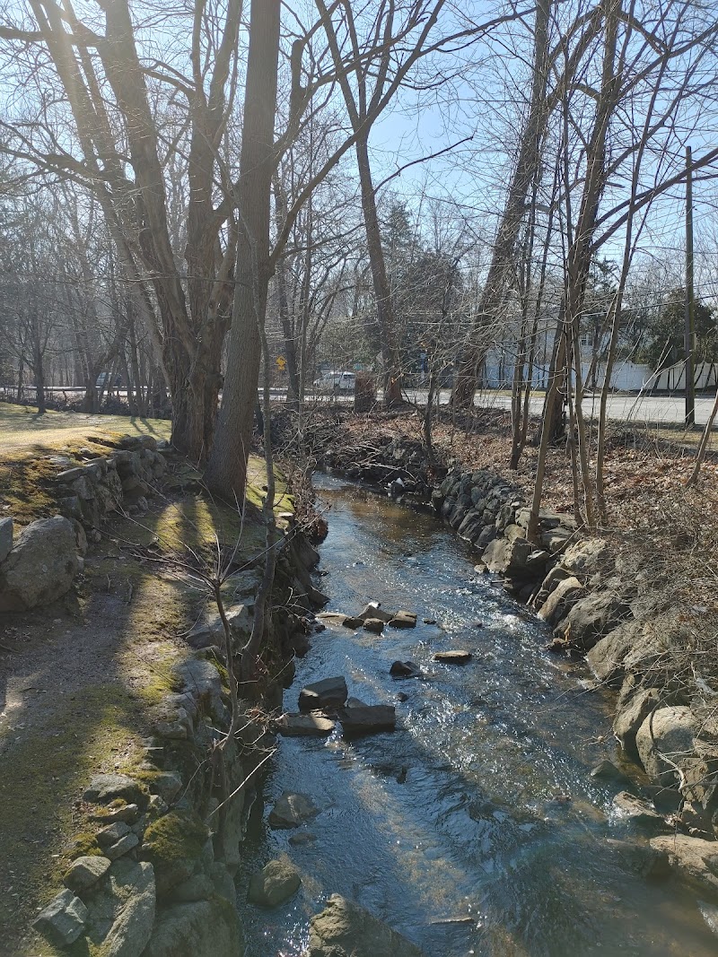 Pinebrook Park photo 2