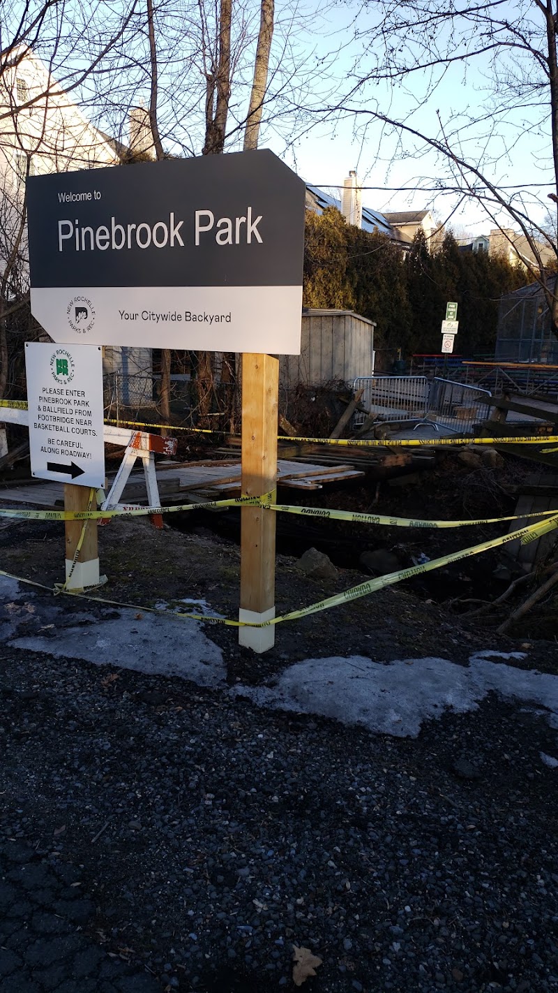 Pinebrook Park photo 4