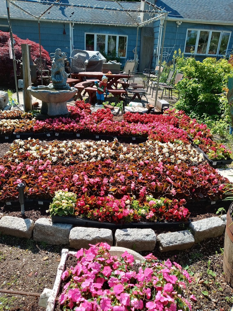 Pinesbridge Nursery photo 2