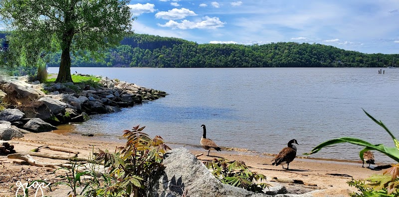 Kinnally Cove Park & kayak launch photo 2