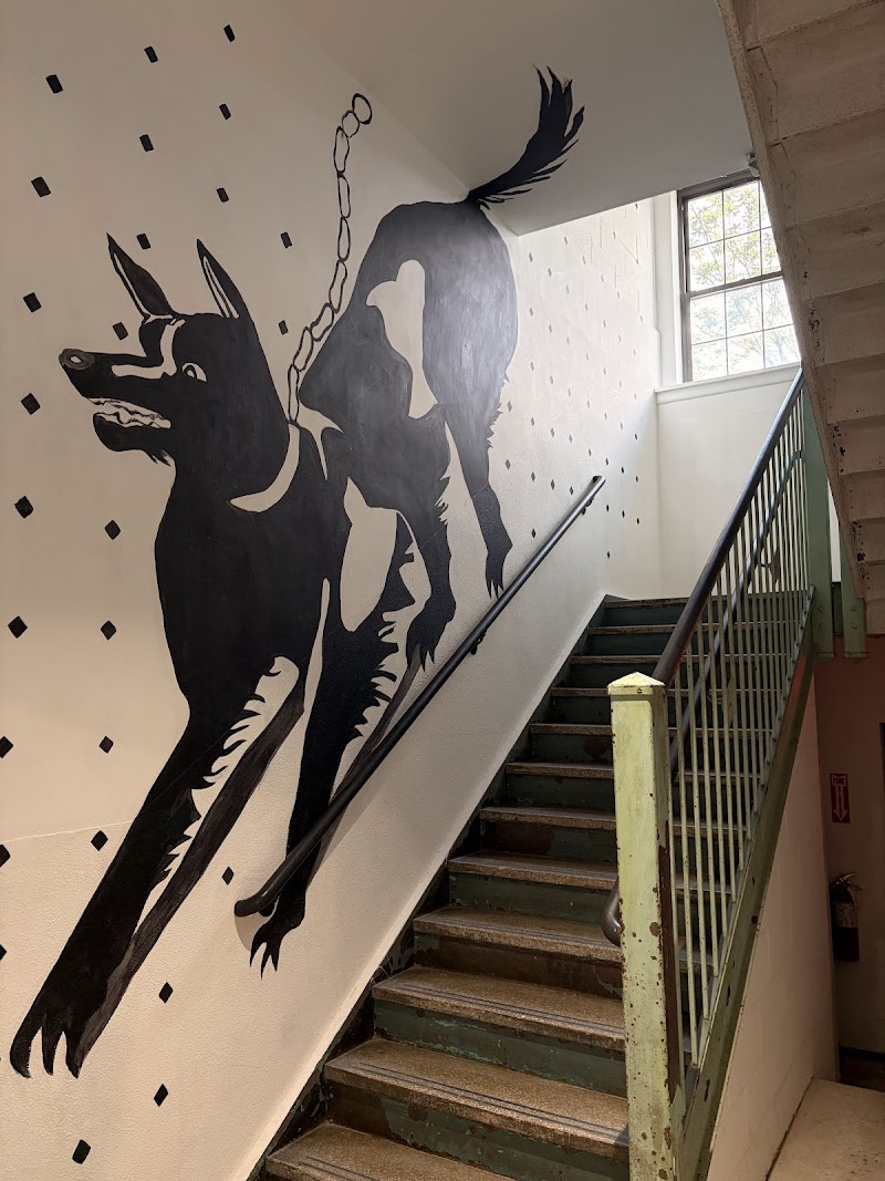 Kinosaito Arts Center photo 4