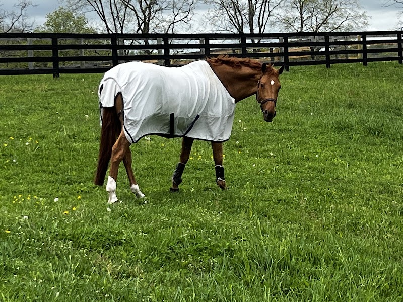 Lionshare Farm & Peter Leone photo 2