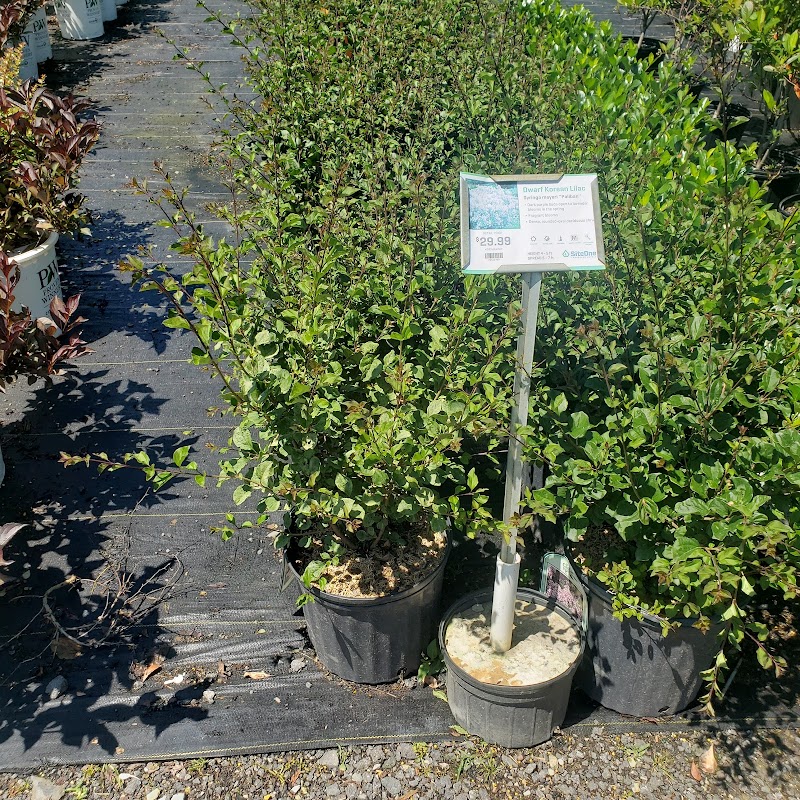 SiteOne Landscape Supply photo 3