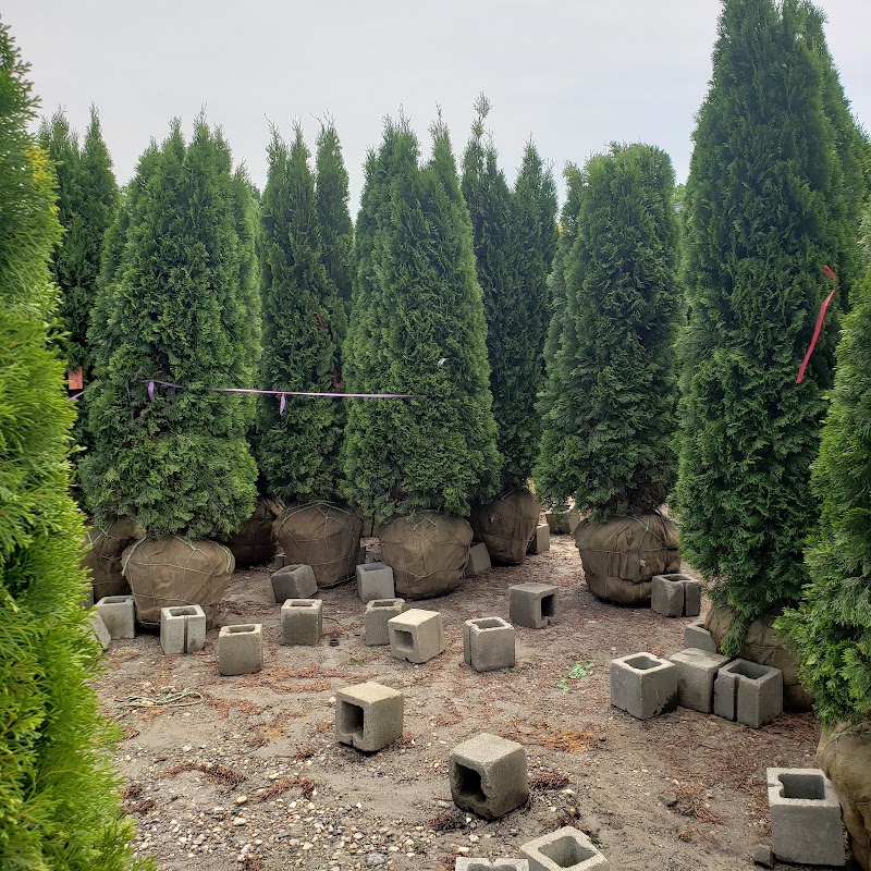 SiteOne Landscape Supply photo 4