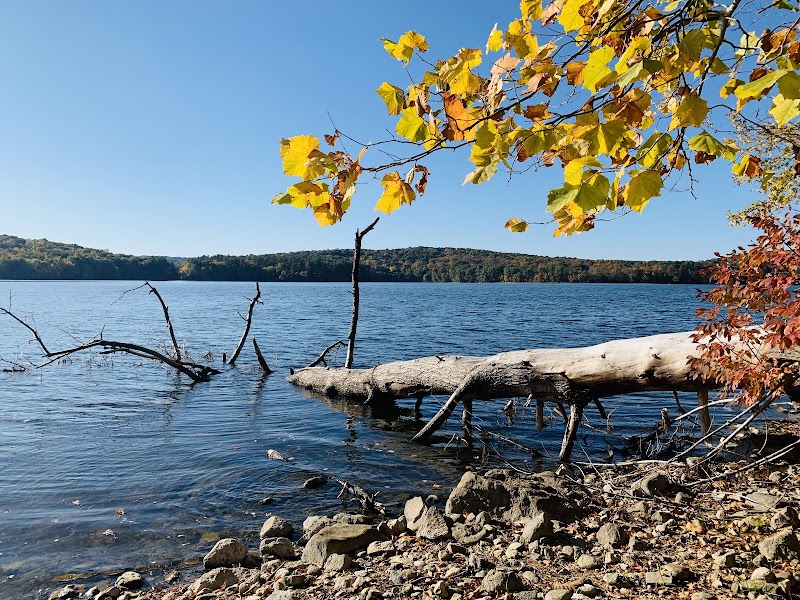 Titicus Reservoir Fishing Area photo 1