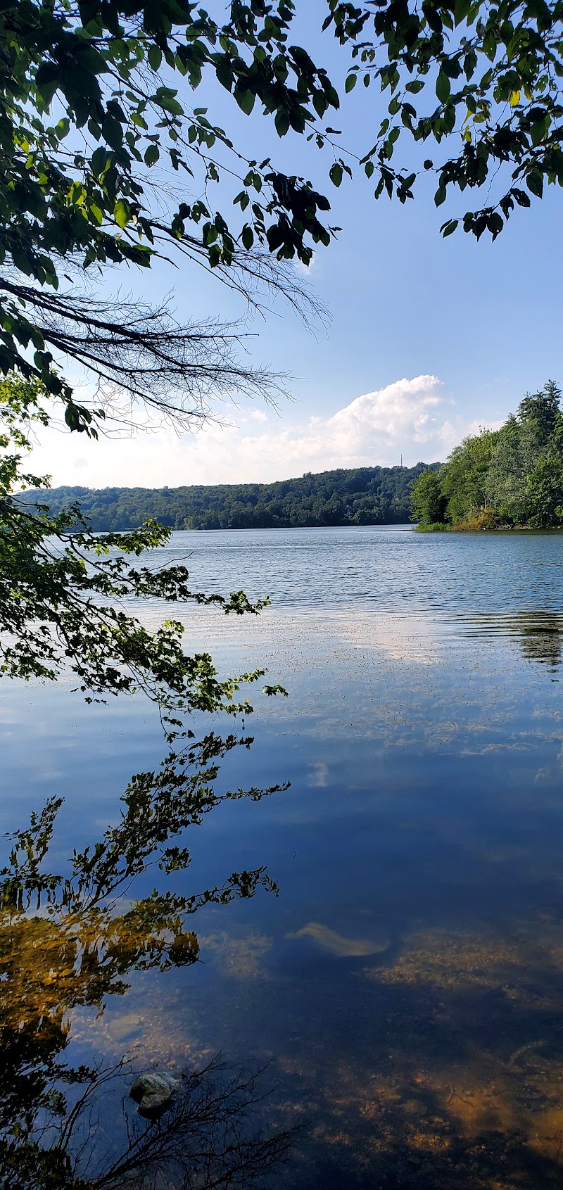 Titicus Reservoir Fishing Area photo 2
