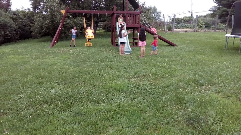 Little Creek Farm Alpacas photo 3