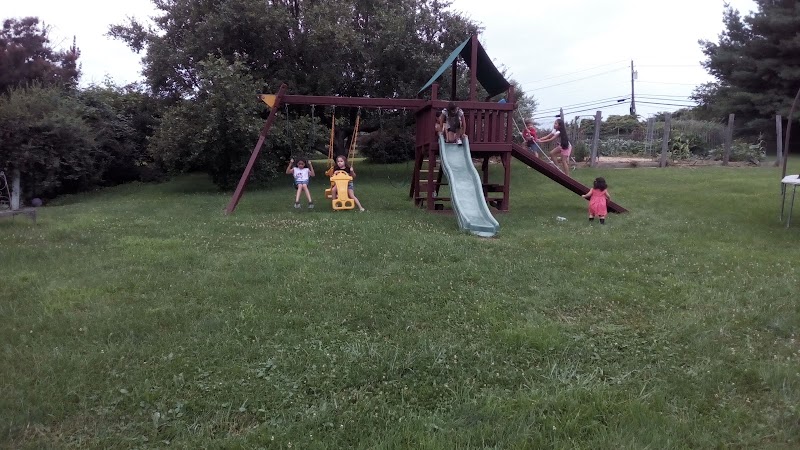 Little Creek Farm Alpacas photo 4