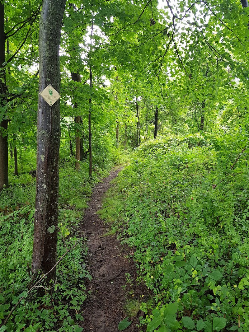 Livingston-Higley Meadow (NCLT) photo 2