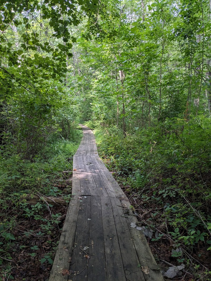 Livingston-Higley Meadow (NCLT) photo 3