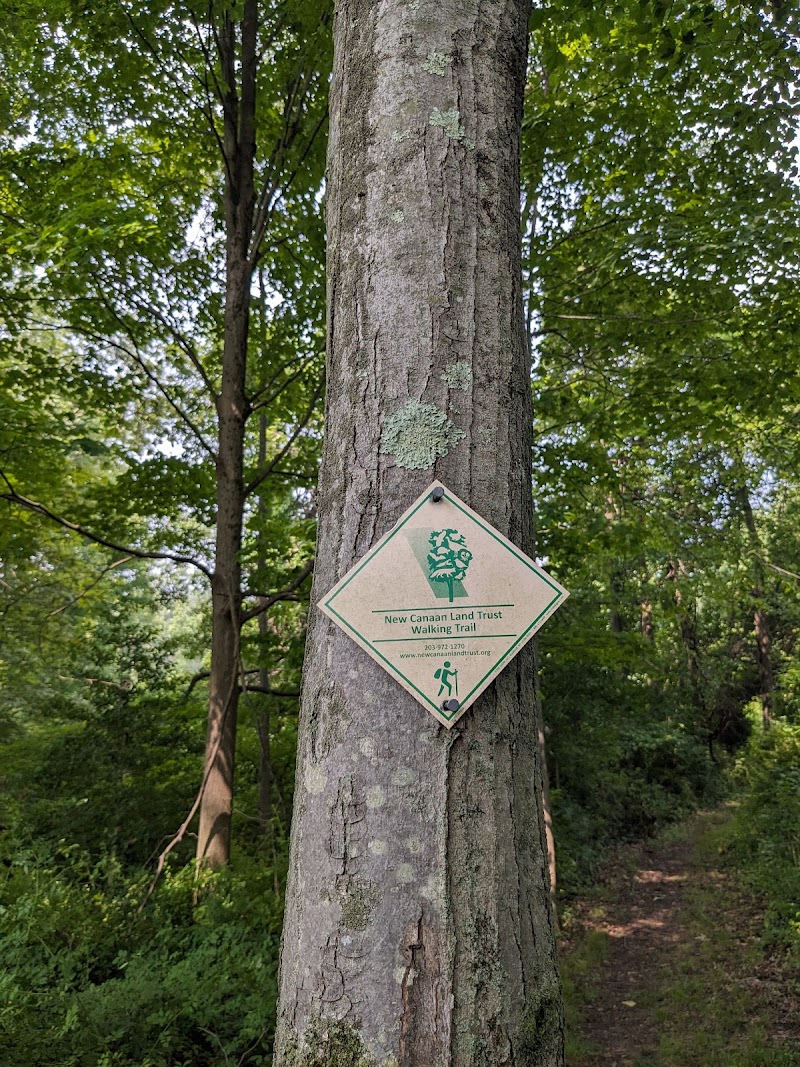 Livingston-Higley Meadow (NCLT) photo 4