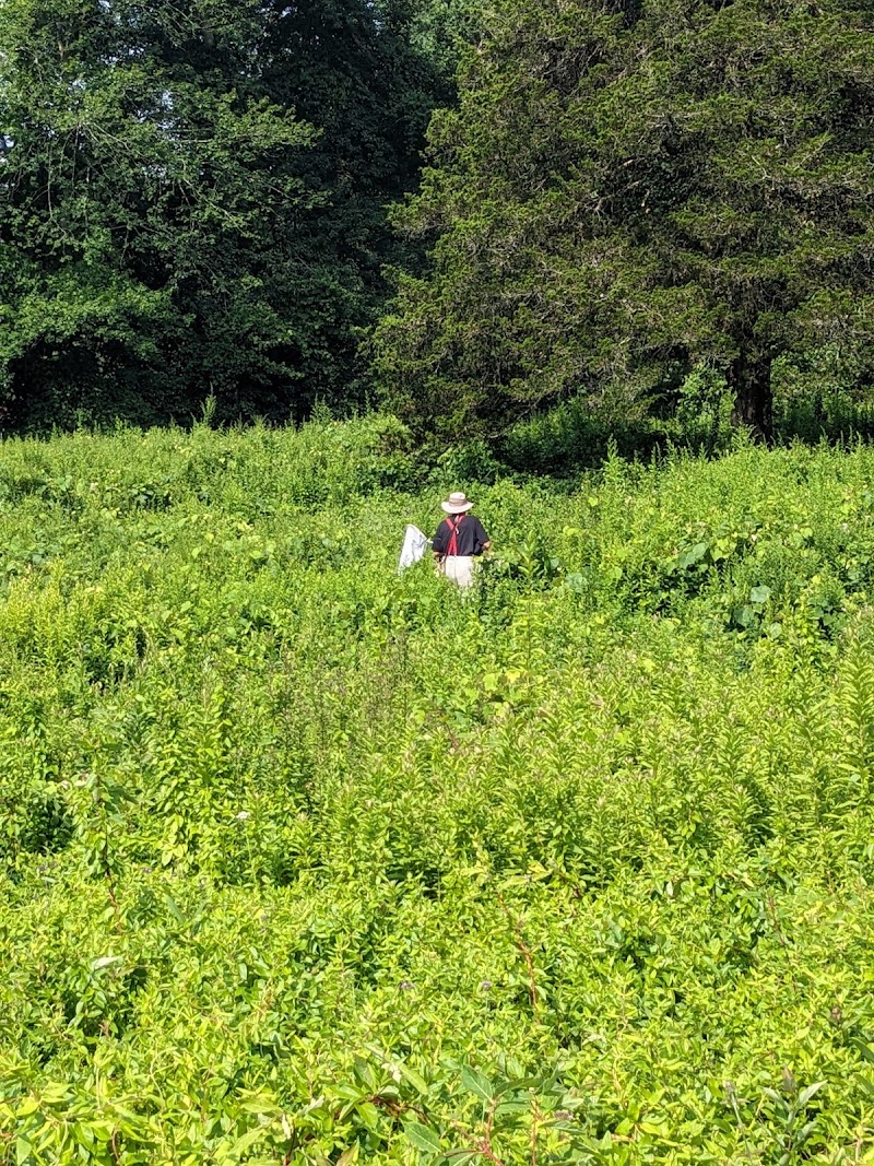 Livingston-Higley Meadow (NCLT) photo 5