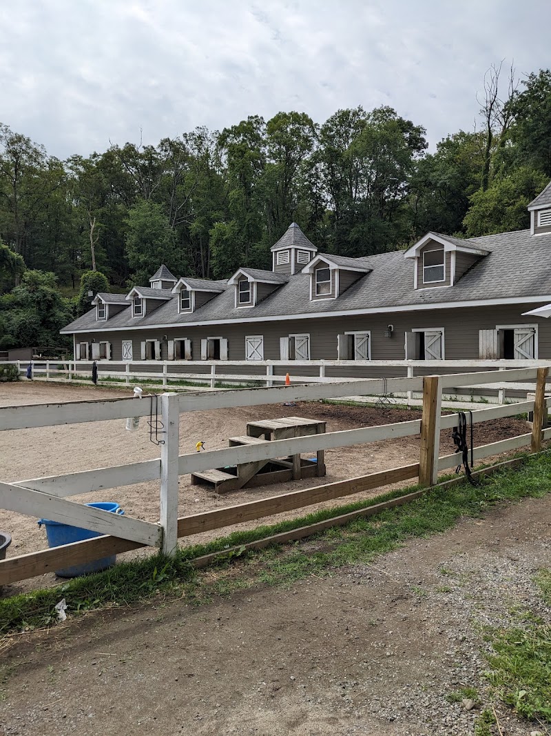 Sky Blue Stables photo 2
