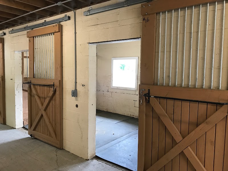 Sky Blue Stables photo 3