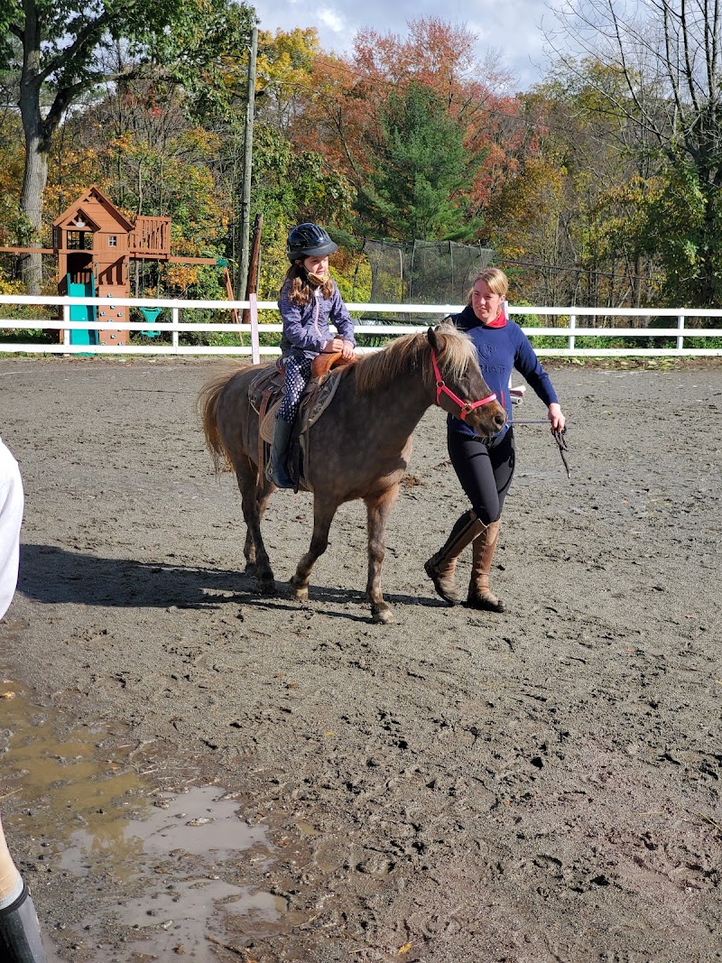 Sky Blue Stables photo 5