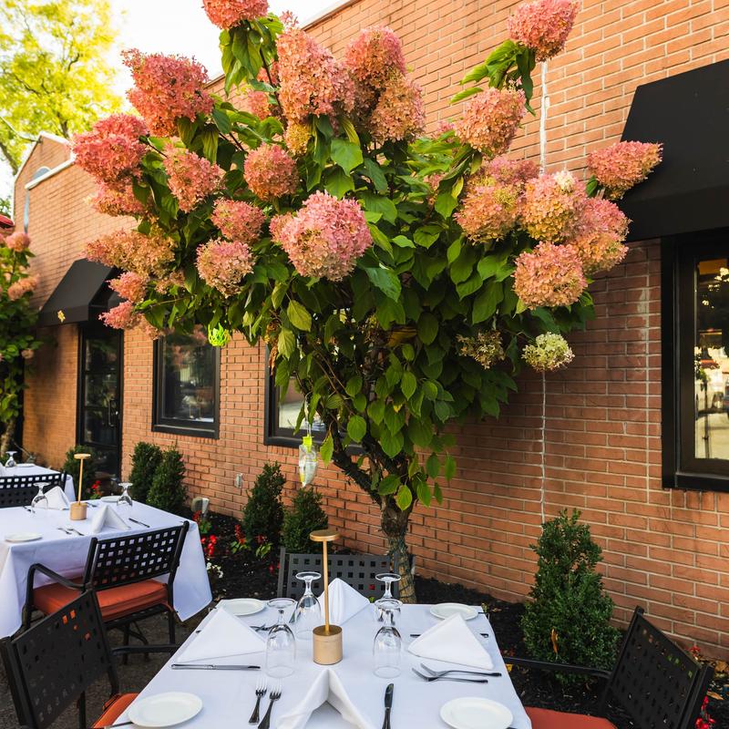 Il Gusto Italian Restaurant & Catering photo 4
