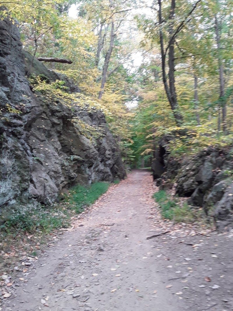 Black Rock Park photo 3