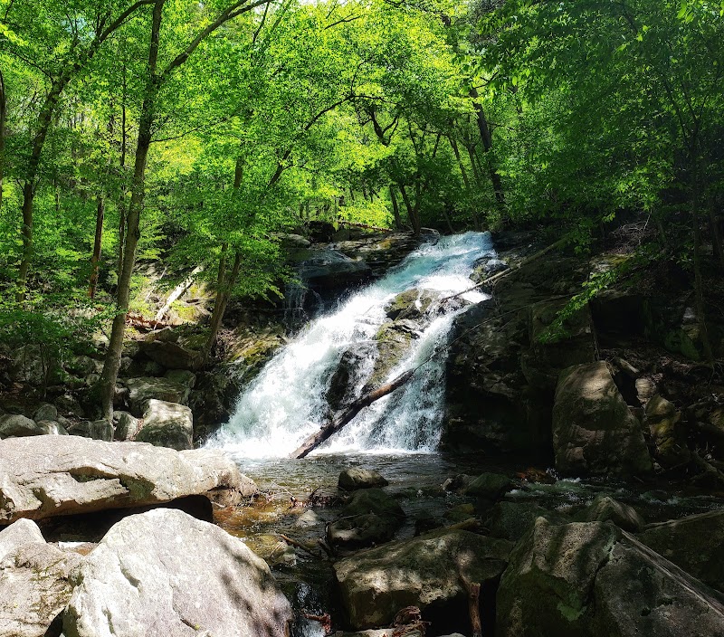 Black Rock Park photo 4