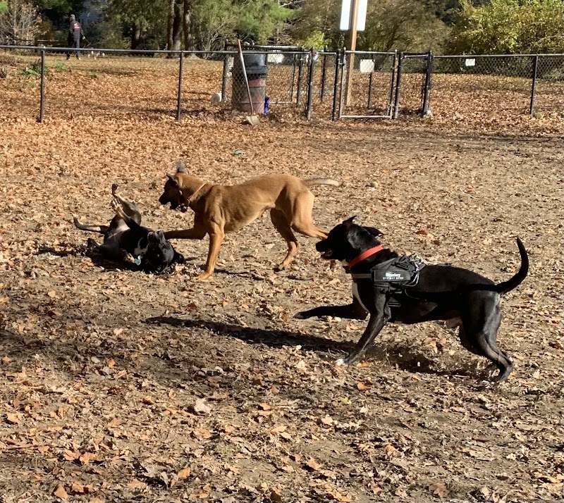 Black Rock Dog Park photo 2