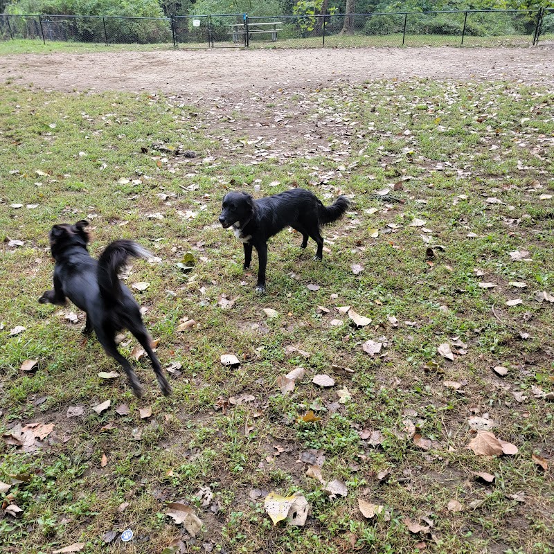 Black Rock Dog Park photo 4