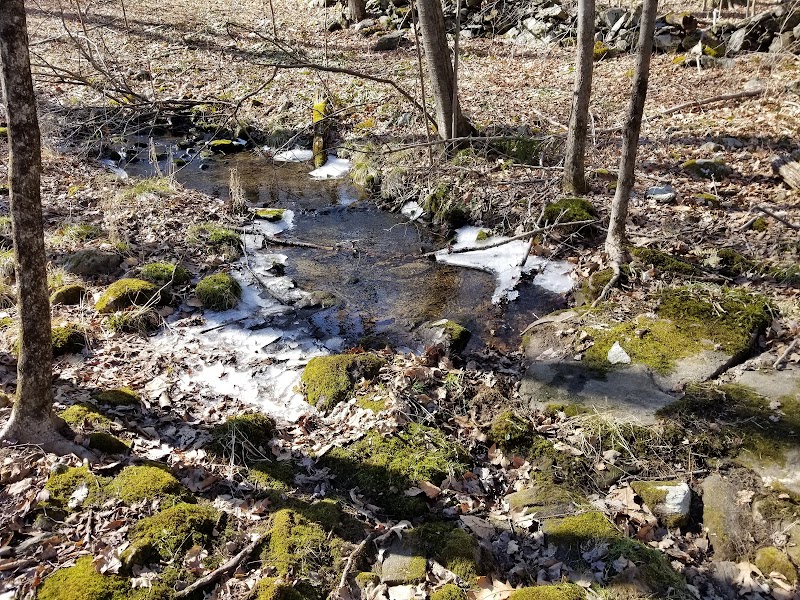 Clark Preserve photo 2