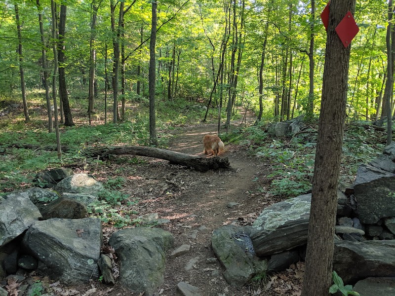 Playground photo 4