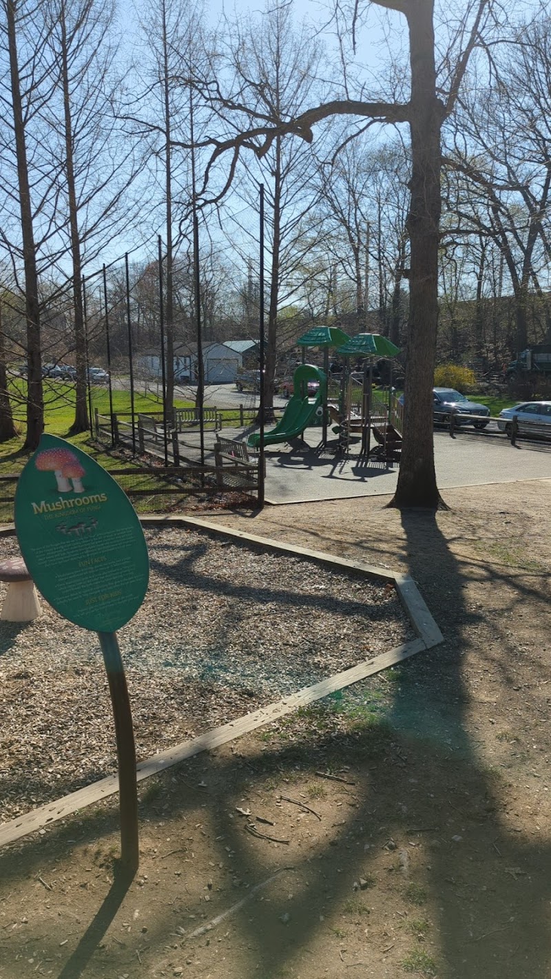 Playground photo 4