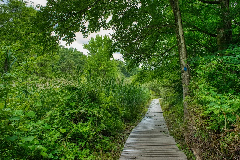 Glazier Preserve photo 4