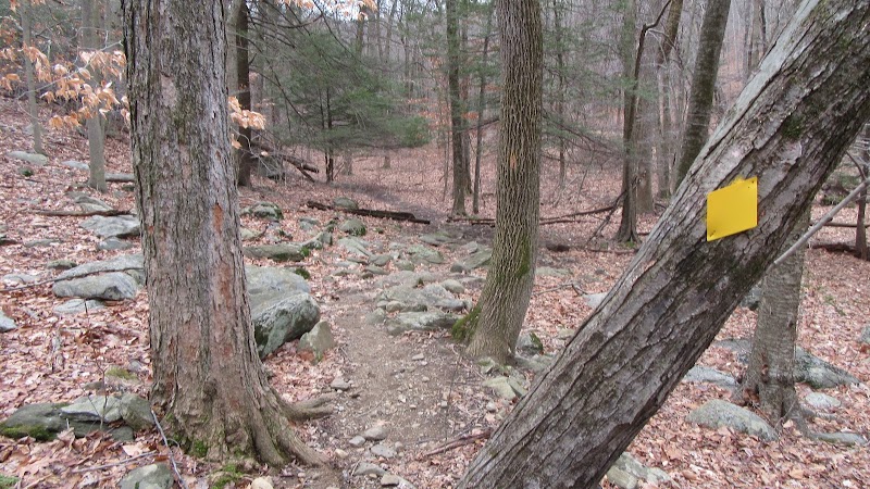 Glazier Preserve photo 5