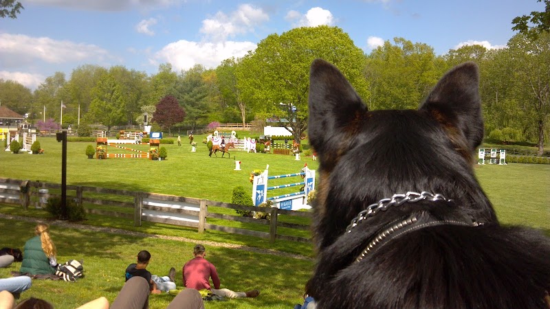 Old Salem Farm photo 2
