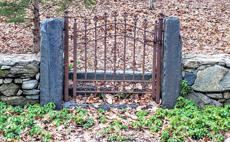 Old Church Lane Preserve photo 2
