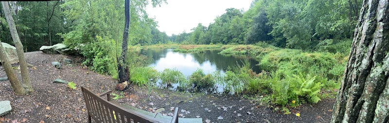 Old Stone Bridge Wild Life Sanctuary photo 2