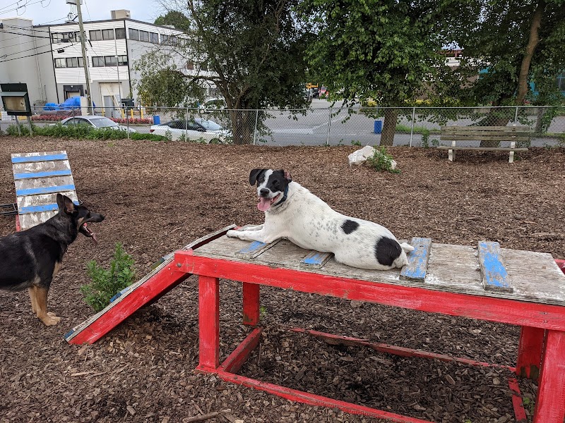 Pleasantville Dog Park photo 2