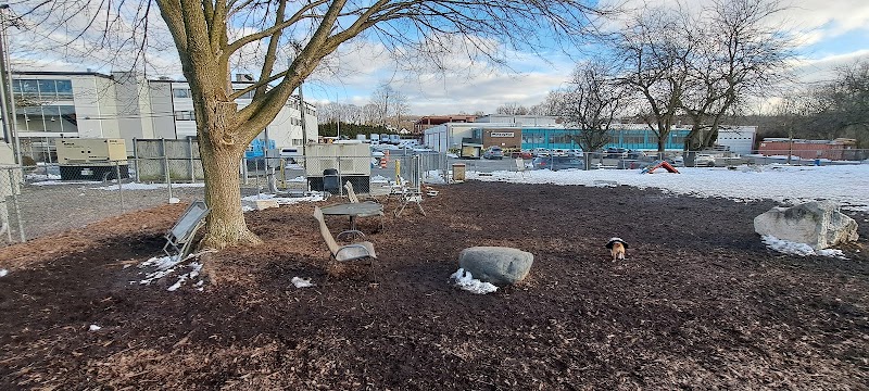 Pleasantville Dog Park photo 4