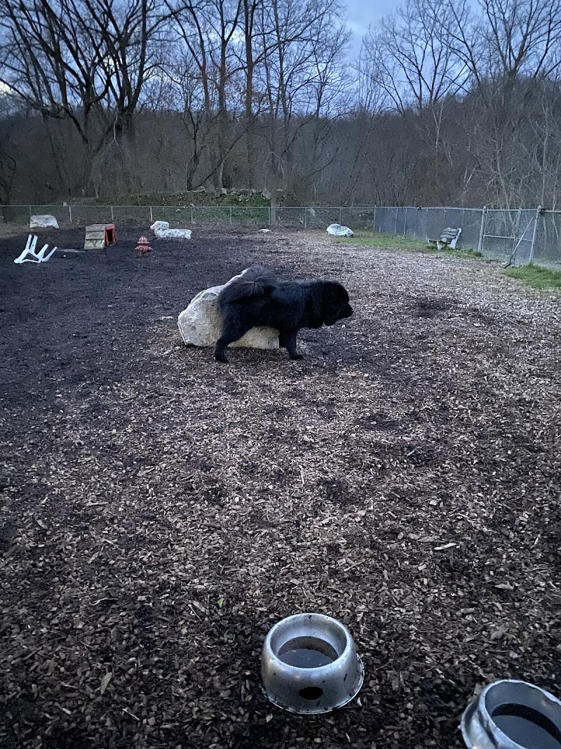 Pleasantville Dog Park photo 5
